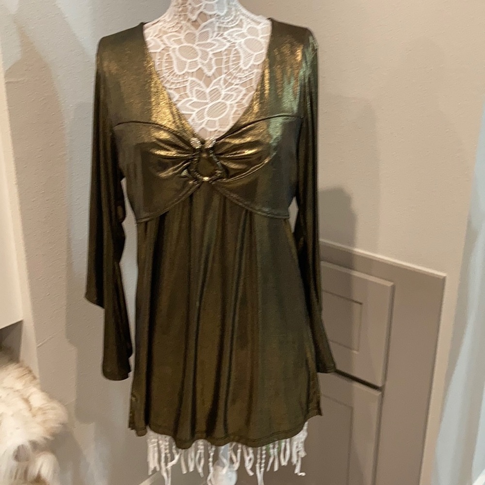 Shimmering Olive dressy blouse.